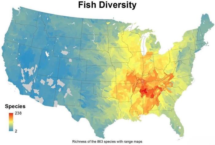 The stark difference in diversity is pretty interesting.