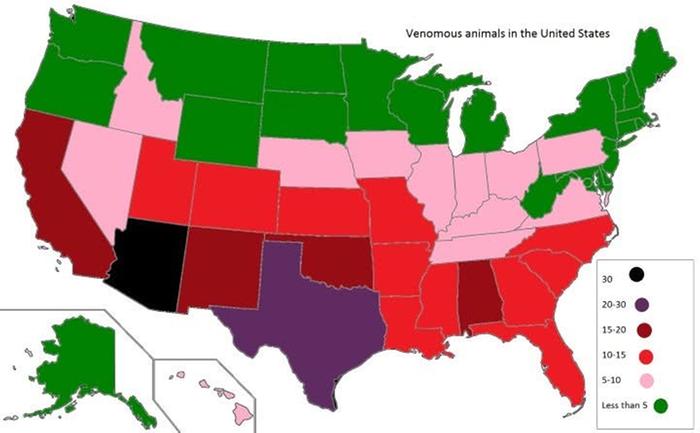 US venomous animal concentration