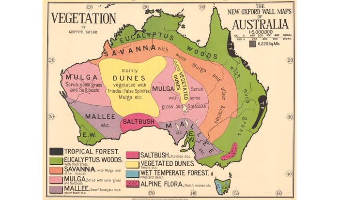 Australian vegetation a hundred years ago