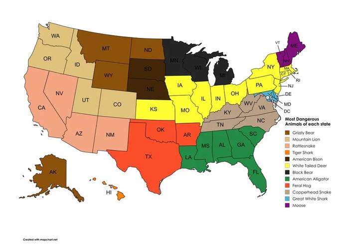 [Thumbnail for a6lmfwwpp8kf1.jpg]