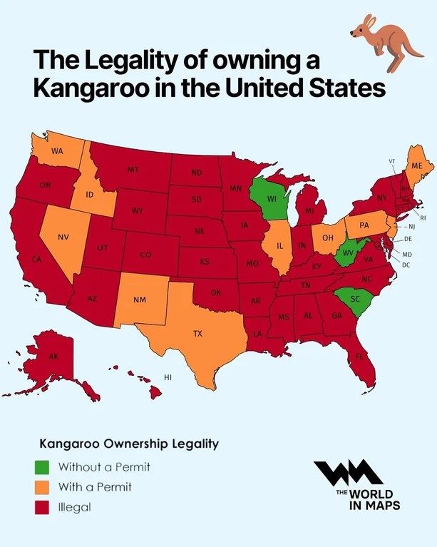 [Thumbnail for m2x7zki6ydjf1.jpg]