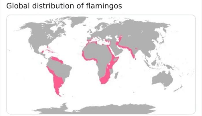 [Thumbnail for xasw92rbykhf1.jpg]