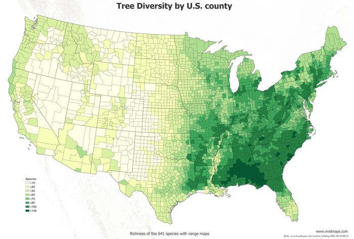 tree diversity by US county