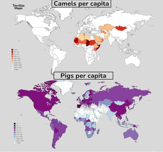 [Thumbnail for Screenshot_23.png]