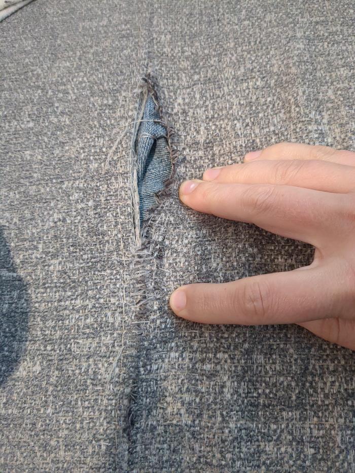 [Thumbnail for 17641071060297894539290732493260.jpg]