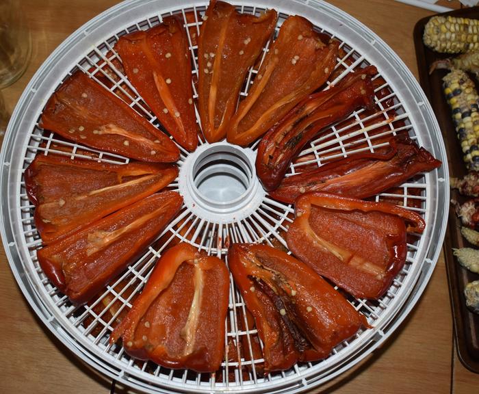 Dehydrator loaded up...looking forward to having a solar dehydrator to use for this