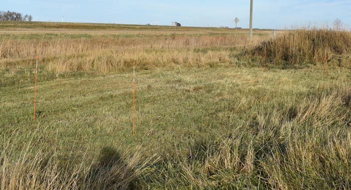 Driveway markers showing 2m by 9m space