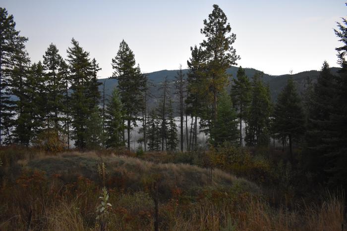 Mist as seen from the roof of Cooper Cabin