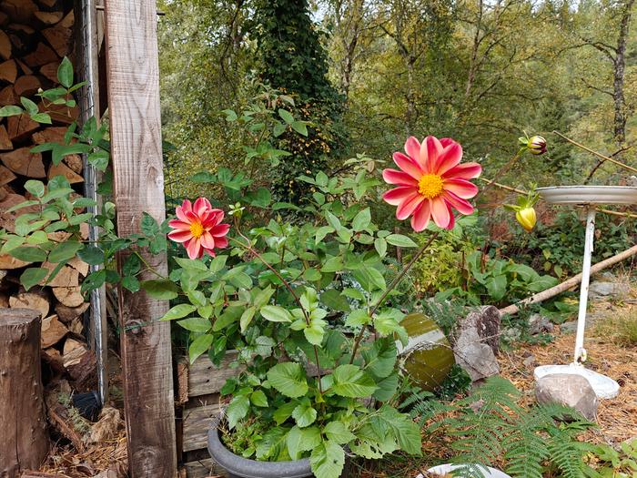 [Thumbnail for IMG20250923103923.jpg]