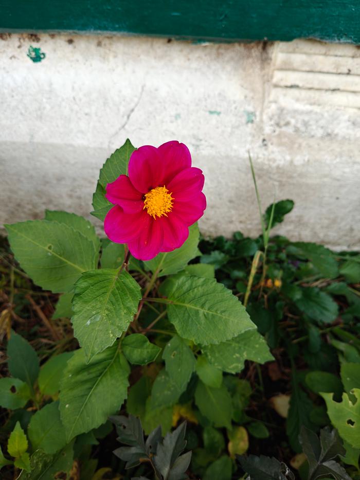 [Thumbnail for IMG20251009085551.jpg]