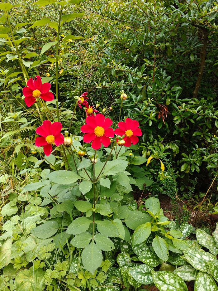 [Thumbnail for IMG20250923103908.jpg]