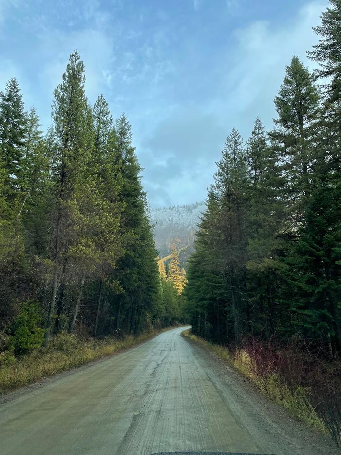 Montana mountain road