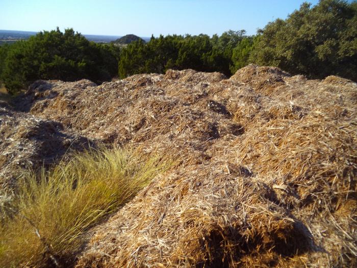 we have over 40 rollback dumpster loads of woodchips to spread