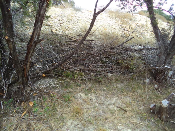 ...keeping trimmed cedar near for erosion control