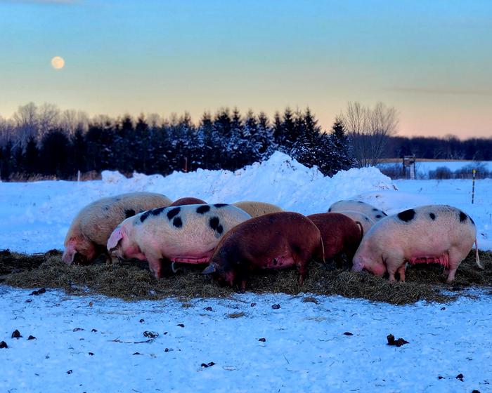 [Thumbnail for 20260102_160435.jpg]