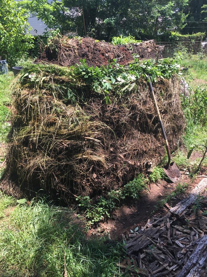 sides going up, willow bed mulched with bark