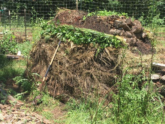 [Thumbnail for 2025-05-12_00023.jpg]