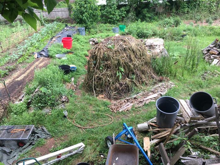view from woodshed roof