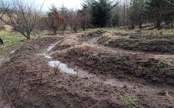 permaculture patterns wave formations hugelbed