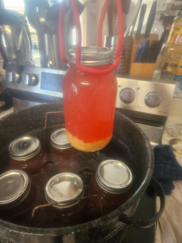 6 quarts crabapple apple cider