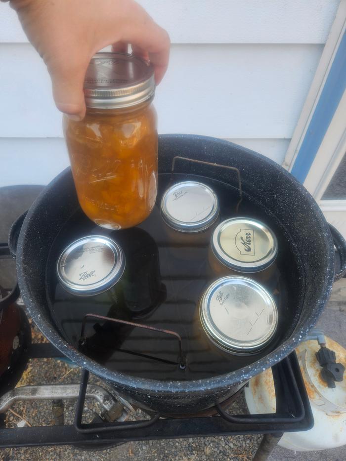 5 pints of apricot jam