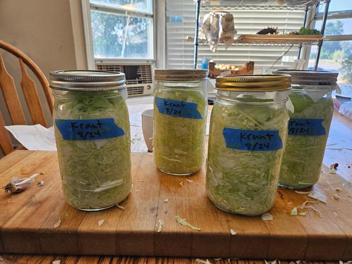 1 gallon of sauerkraut