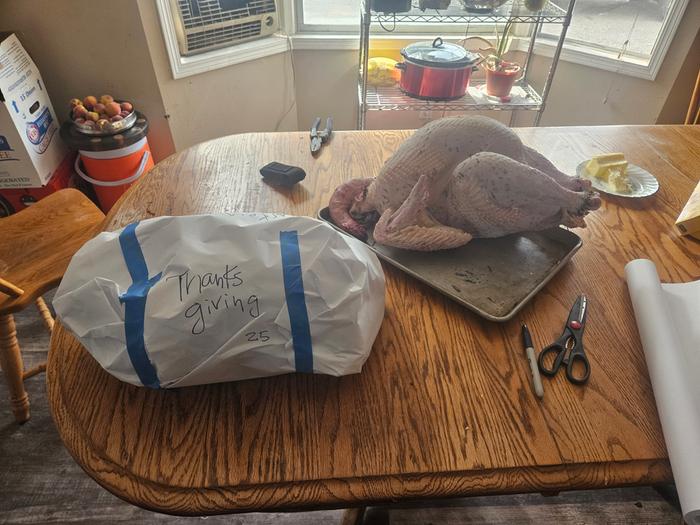 Two turkeys