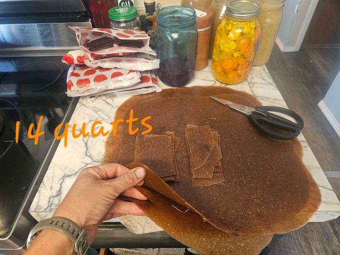 14 quarts of fruit leather