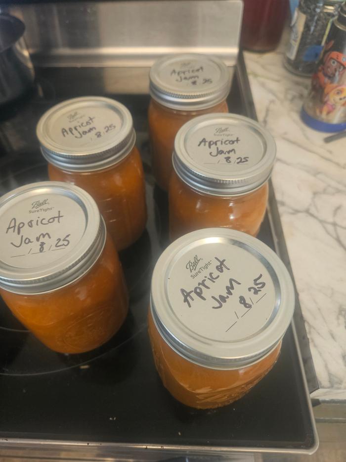 Apricot jelly