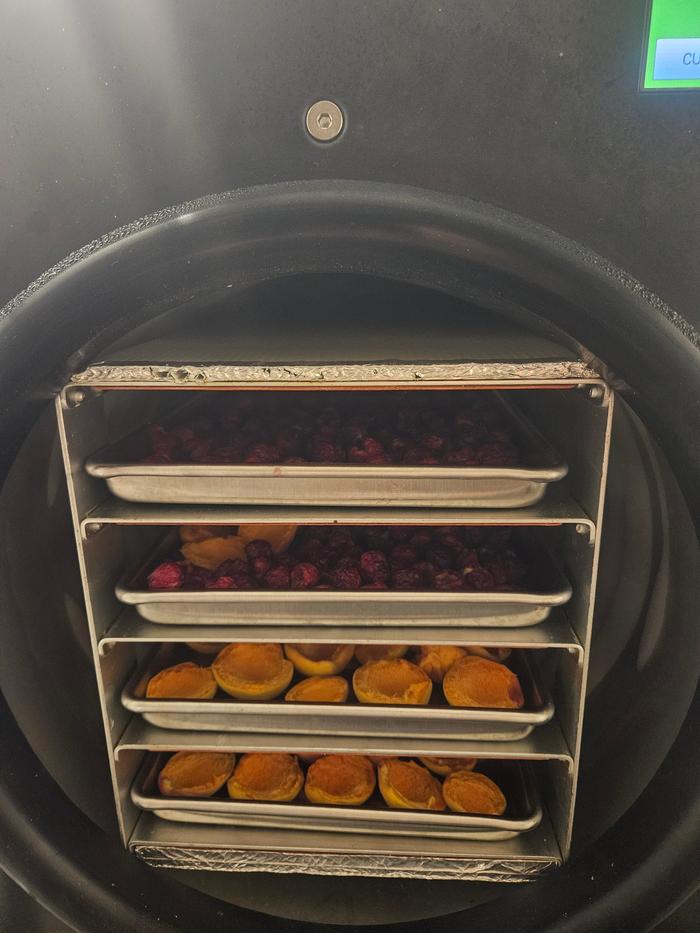 Loaded freeze dryer