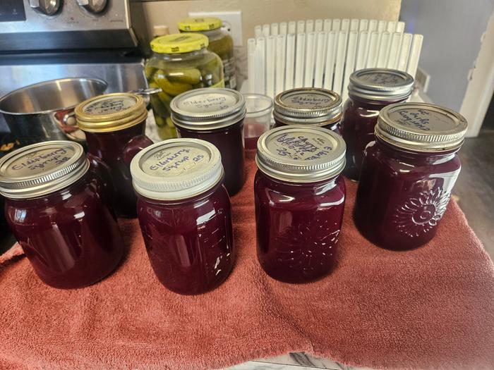 8 pints of elderberry syrup