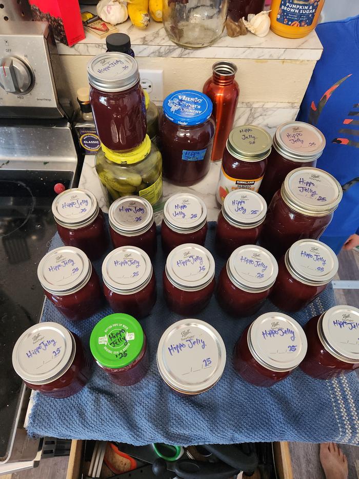 44 cups of plum jelly