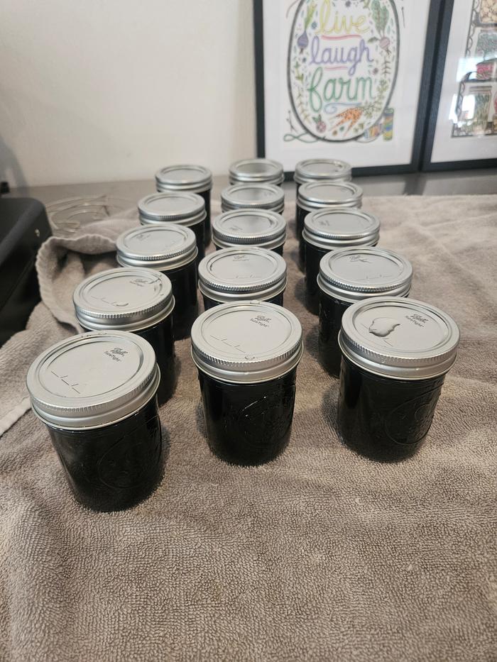15 half pints of elderberry syrup