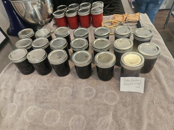 Blueberry chokecherry