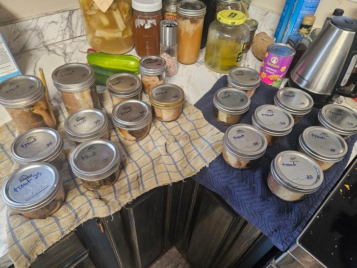 20 cups of canned rainbow trout
