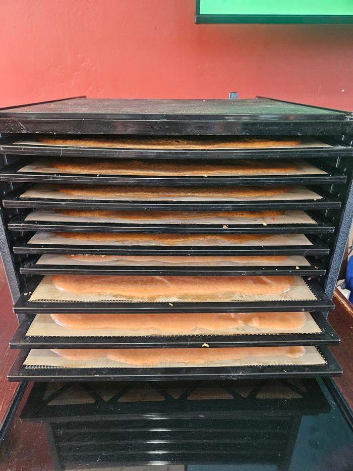 9 trays of fruit leather