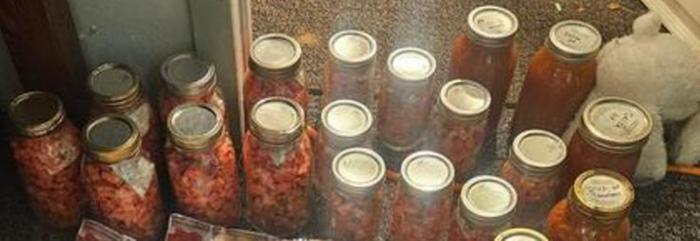 15 more quarts of diced tomatoes