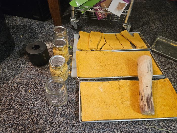 Freeze dryer trays, being packed into jars. I am out of quart jars, but enough for one pie would fit in one. 