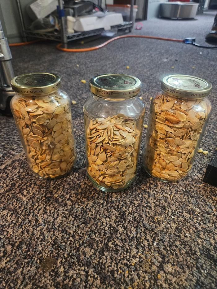 [Thumbnail for 20251105_140838.jpg]