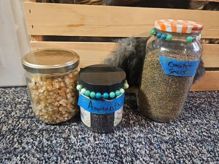 [Thumbnail for 20251105_144319.jpg]