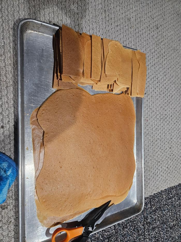 [Thumbnail for 20251106_192622.jpg]