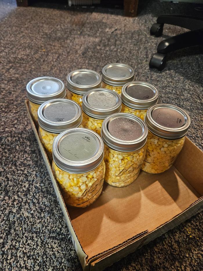 [Thumbnail for 20251108_074912.jpg]