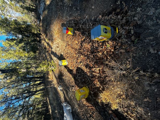 [Thumbnail for V2-Blueberries-(10).JPG]