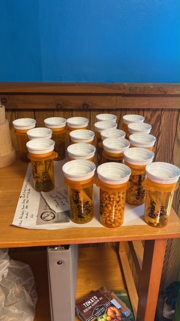 Medicine bottle seed organization