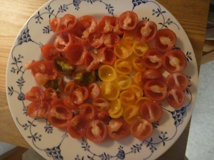 Tomato tasting for the family after removing seeds