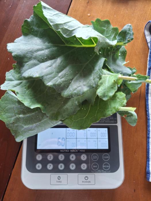 kale from June 30, 2025