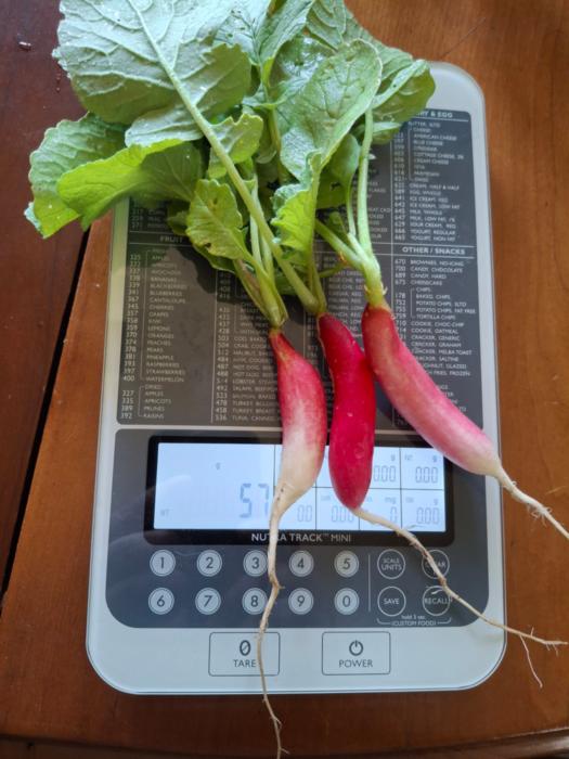 radish July 3, 2025