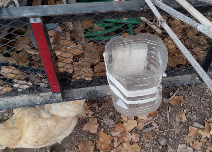 Recycled container chicken cull station