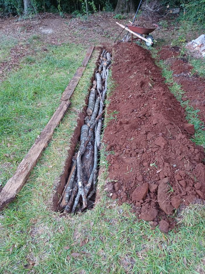 Trench full of deadfall and gypsum