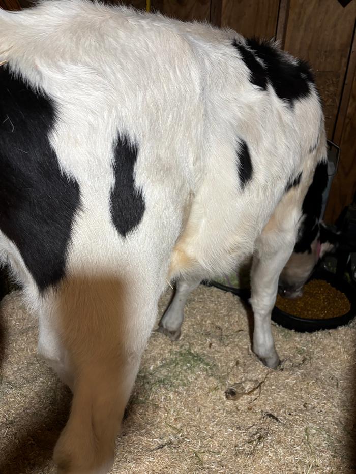 [Thumbnail for IMG_5208.jpeg]